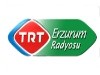 TRT Erzurum logosu