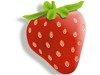 Strawberry TV Bilgileri