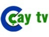 Çay Tv logosu