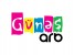 ARB Güneş TV