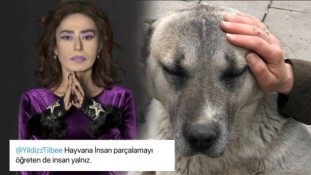 Sokak köpekleri gebersin, diyen Yıldız Tilbe ifade verdi