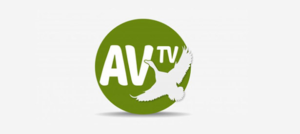 Av severlerin kanalı AV TV!