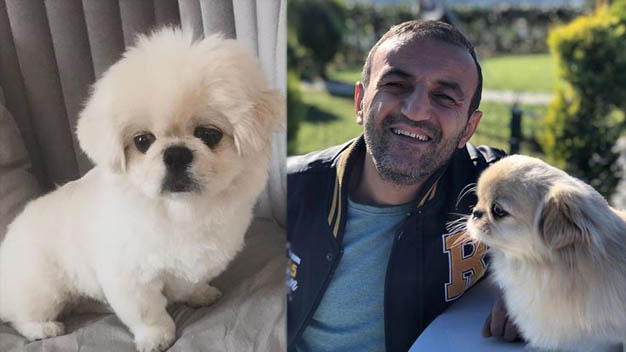 Ersin Korkut yeni köpeğine isim önerisi istedi, sosyal medya yıkıldı!
