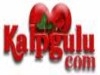 Radyo Yazgülü Bilgileri