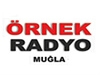 Örnek Radyo Bilgileri