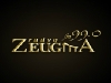 Radyo Zeugma Bilgileri